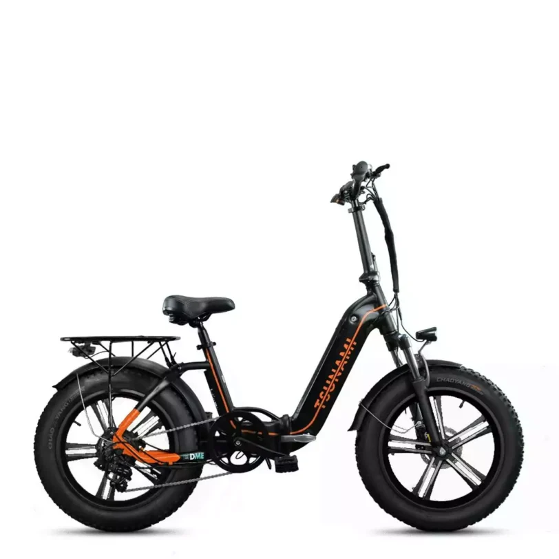 Bici elettrica Fat Bike TSUNAMI 250W 36V [Versione 3.0]